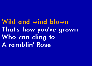 Wild and wind blown

Thai's how you've grown

Who can cling to
A ramblin' Rose
