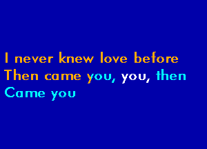 I never knew love before

Then come you, you, then
Came you