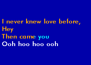 I never knew love before,

Hey

Then ca me you

Ooh hoo hoo ooh