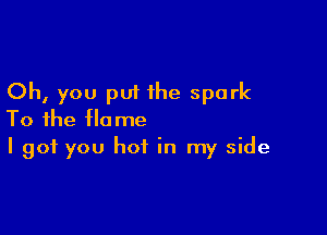 Oh, you put the spark

To the flame
I got you hot in my side