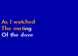 As I watched

The mating
Of the dove