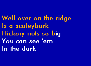 Well over on the ridge
Is a scoleybork

Hickory nUIs so big

You can see 'em

In the dark