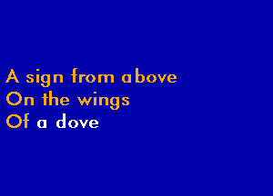 A sign from above

On the wings
Of a dove