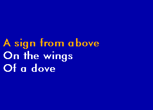 A sign from above

On the wings
Of a dove