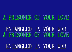 A PRISONER OF YOUR LOVE

ENTANGLED IN YOUR WEB
A PRISONER OF YOUR LOVE

ENTANGLED IN YOUR WEB