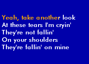 Yeah, take another look
At these fears I'm cryin'
They're not follin'

On your shoulders
They're fallin' on mine