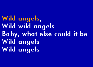 Wild angels,
Wild wild angels

Ba by, what else could it be

Wild angels
Wild angels