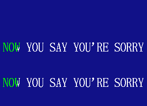 NOW YOU SAY YOU RE SORRY

NOW YOU SAY YOU RE SORRY