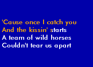 'Cause once I catch you

And the kissin' starts
A team of wild horses
Could n'f tear us apart