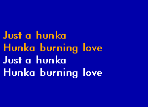Just a hunka
Hunko burning love

Just a hunko
Hunka burning love
