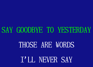 SAY GOODBYE T0 YESTERDAY
THOSE ARE WORDS
PLL NEVER SAY