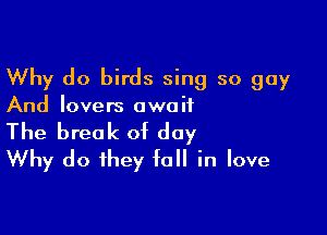 Why do birds sing so guy
And lovers await

The break of day
Why do they fall in love