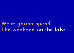 We're gon no spend

The weekend on the lake