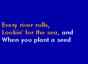 Eve ry river rolls,

Lookin' for the sea, and
When you plant a seed