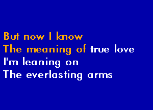 But now I know
The meaning of true love

I'm leaning on
The everlasting arms