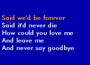 Said we'd be forever

Said ifd never die

How could you love me
And leave me

And never say good bye