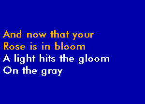 And now that your
Rose is in bloom

A light hits the gloom
On the gray