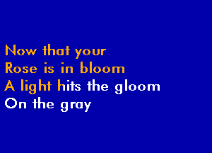 Now that your
Rose is in bloom

A light hits the gloom
On the gray