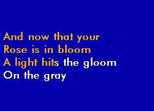 And now that your
Rose is in bloom

A light hits the gloom
On the gray