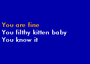 You are fine

You filthy kiiien be by

You know if