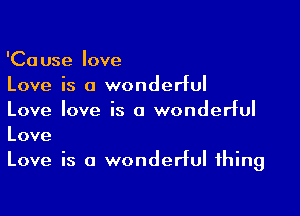 'Cause love
Love is a wonderful

Love love is a wonderful
Love

Love is a wonderful thing