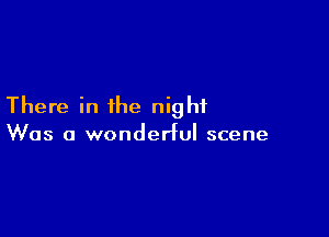There in the night

Was a wonderful scene