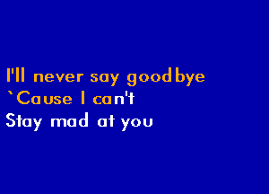 I'll never say good bye

xCause I can't
Stay mad at you