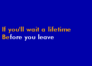If you'll wait a lifetime

Before you leave