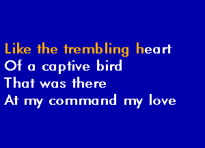 Like the trembling heart
Of a captive bird

That was there
At my command my love