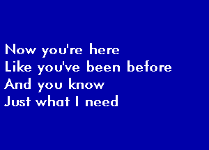 Now you're here
Like you've been before

And you know
Just what I need