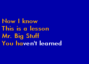 Now I know
This is a lesson

Mr. Big StUH

You have n'f lea rned