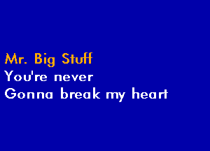 Mr. Big StuH

You're never
Gonna break my heart