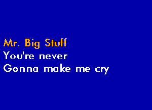 Mr. Big StuH

You're never
Gonna make me cry