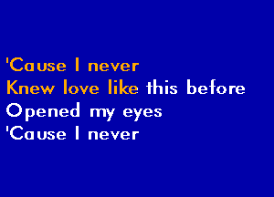 'Cause I never
Knew love like this before

Opened my eyes
'Cause I never