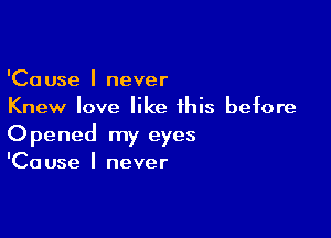 'Cause I never
Knew love like this before

Opened my eyes
'Cause I never