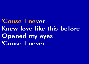 'Cause I never
Knew love like this before

Opened my eyes
'Cause I never