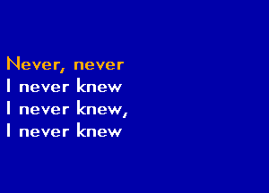 Never, never
I never knew

I never knew,
I never knew