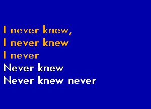 I never knew,
I never knew

I never
Never knew
Never knew never
