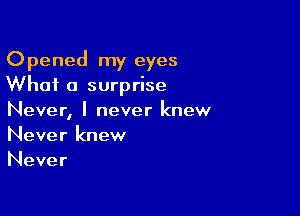 Opened my eyes
What a surprise

Never, I never knew
Never knew
Never