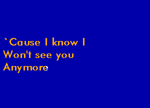 Cause I know I

Won't see you
Anymore