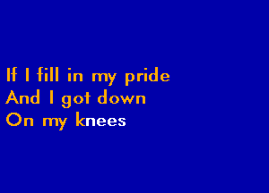 If I fill in my pride

And I got down
On my knees