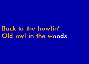 Back to the howlin'

Old owl in the woods