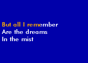 But all I remember

Are the dreams
In the mist