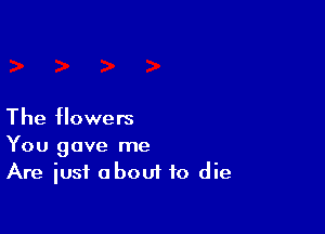 The flowers

You gave me
Are iusi about to die