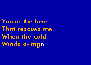 You're the love
That rescues me

When the cold
Winds a-rage
