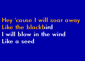 Hey 'couse I will soar away

Like the blockbird

I will blow in the wind
Like a seed