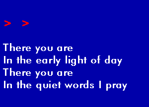 There you are

In the early light of day
There you are

In the quiet words I pray