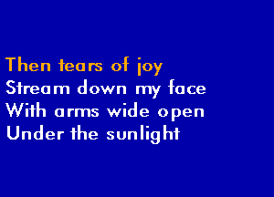 Then fears of joy
Stream down my face

With arms wide open
Under the sunlight