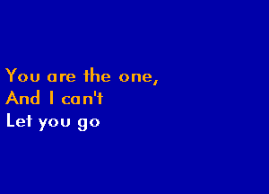 You are the one,

And I can't
Let you go