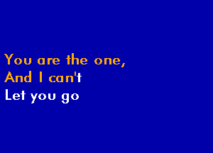 You are the one,

And I can't
Let you go